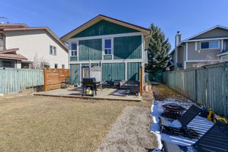 Photo 46: 7 Shawcliffe Place SW in Calgary: Shawnessy Detached for sale : MLS®# A1198999