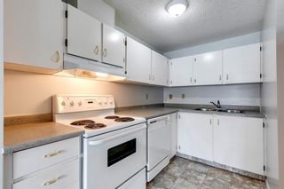 Photo 2: 110 280 Banister Drive: Okotoks Apartment for sale : MLS®# A2128088