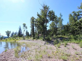 Photo 14: 663 Waverly Park Frontage Road in Sorrento, BC: Land Only for sale (Sorrento) 