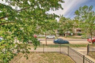Photo 19: 201 1626 14 Avenue SW in Calgary: Sunalta Apartment for sale : MLS®# A2054736
