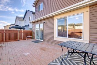 Photo 15: 30 Martin Crossing Way NE in Calgary: Martindale Detached for sale : MLS®# A1195474