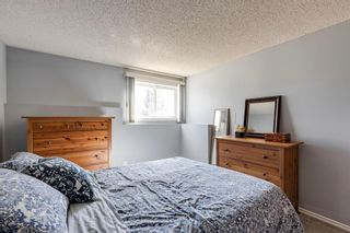 Photo 14: 4175 90 Glamis Drive SW in Calgary: Glamorgan Apartment for sale : MLS®# A2037052