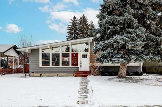 Main Photo: 9716 3 Street SE in Calgary: Acadia Detached for sale : MLS®# A2119576