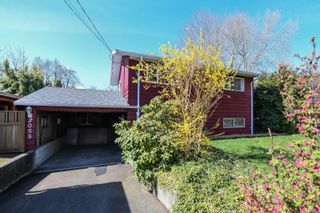 Photo 51: 2055 Tull Ave in Courtenay: CV Courtenay City House for sale (Comox Valley)  : MLS®# 872280