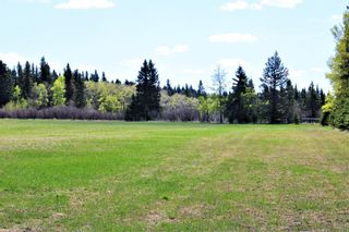 Photo 29: 31518 Hwy 22: Rural Mountain View County Residential Land for sale : MLS®# A1218290