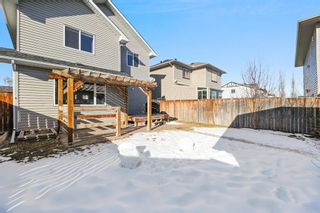 Photo 43: 107 Elgin View SE in Calgary: McKenzie Towne Detached for sale : MLS®# A1208693