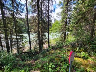 Photo 9: 4265 GIANT MINE ROAD in Spillimacheen: Vacant Land for sale : MLS®# 2474162