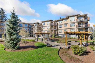 Photo 29: 305 2565 CAMPBELL Avenue in Abbotsford: Central Abbotsford Condo for sale in "Abacus" : MLS®# R2567968