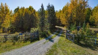 Photo 29: 55 Priddis Creek Drive: Rural Foothills County Detached for sale : MLS®# A2081328