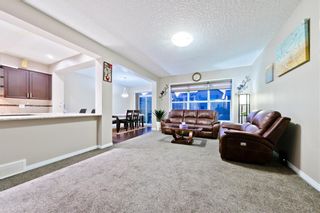 Photo 21: 142 SKYVIEW POINT CR NE in Calgary: Skyview Ranch House for sale : MLS®# C4226415