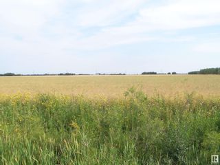 Photo 5: TWP 551 RR234: Rural Sturgeon County Vacant Lot/Land for sale : MLS®# E4382706