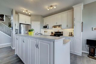 Photo 10: 115 Brightoncrest Terrace SE in Calgary: New Brighton Detached for sale : MLS®# A2120052