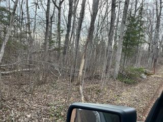 Photo 2: VL 204 Route in Little River: 102N-North Of Hwy 104 Vacant Land for sale (Northern Region)  : MLS®# 202307369