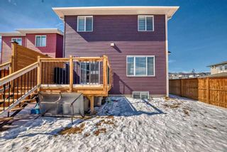 Photo 38: 476 Bayview Way: Airdrie Detached for sale : MLS®# A2118083