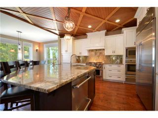 Photo 4: 3366 RED ALDER Place in Coquitlam: Burke Mountain House for sale in "BIRCHWOOD ESTATES" : MLS®# V950690