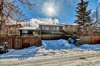 Photo 37: 533 Aboyne Crescent NE in Calgary: Abbeydale Semi Detached (Half Duplex) for sale : MLS®# A2028158