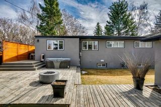 Photo 45: 16 Harley Road SW in Calgary: Haysboro Detached for sale : MLS®# A1092944