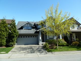 Photo 1: 7068 200 B Street in Langley: Home for sale : MLS®# F1308526