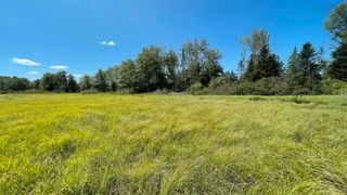 Photo 4: Lot New Albany in New Albany: Annapolis County Vacant Land for sale (Annapolis Valley)  : MLS®# 202219396