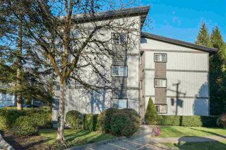 Photo 1: 243 202 WESTHILL Place in Port Moody: College Park PM Condo for sale : MLS®# R2575361