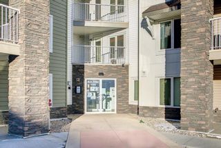 Photo 2: 1408 6118 80 Avenue NE in Calgary: Saddle Ridge Apartment for sale : MLS®# A1191237