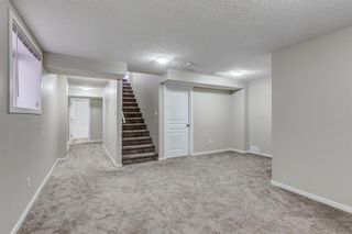 Photo 23: 20 Copperpond Heights SE in Calgary: Copperfield Detached for sale : MLS®# A2128576