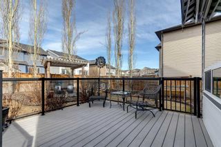 Photo 41: 39 Silverado Skies Manor SW in Calgary: Silverado Detached for sale : MLS®# A2122875