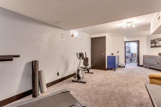 Photo 30: 56 Edgeburn Crescent NW in Calgary: Edgemont Detached for sale : MLS®# A1204017