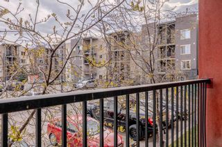 Photo 23: 211 403 Mackenzie Way SW: Airdrie Apartment for sale : MLS®# A2125740