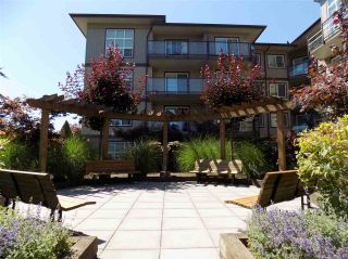 Photo 14: 406 30525 CARDINAL Avenue in Abbotsford: Abbotsford West Condo for sale in "Tamarind Westside" : MLS®# R2185961