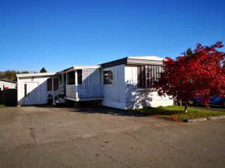 Photo 20: 134 3300 HORN Street in Abbotsford: Central Abbotsford Manufactured Home for sale in "Georgian Park" : MLS®# R2411809