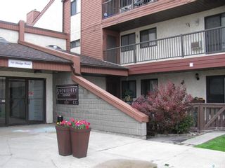 Photo 2: 213B 111 Wedge Road in Saskatoon: Dundonald Residential for sale : MLS®# SK901789