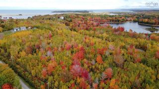 Photo 1: Lot 7 Powell Road in Little Harbour: 108-Rural Pictou County Vacant Land for sale (Northern Region)  : MLS®# 202127277