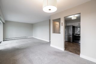 Photo 12: 306 32885 GEORGE FERGUSON Way in Abbotsford: Central Abbotsford Condo for sale : MLS®# R2757918
