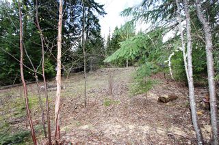 Photo 20: 99 Fraser Crescent: Anglemont Land Only for sale (North Shuswap)  : MLS®# 10097577