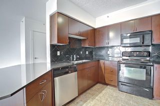 Photo 13: 1008 8880 Horton Road SW in Calgary: Haysboro Apartment for sale : MLS®# A1169538