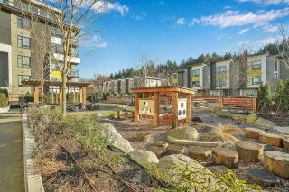 Photo 39: 102 3018 ST GEORGE Street in Port Moody: Port Moody Centre Condo for sale in "GEORGE" : MLS®# R2847162