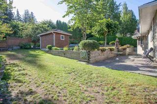 Photo 7: 4646 215B STREET in Langley: Murrayville Home for sale ()  : MLS®# R2086032
