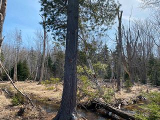 Photo 26: Lot 22 Lakeside Drive in Little Harbour: 108-Rural Pictou County Vacant Land for sale (Northern Region)  : MLS®# 202304936
