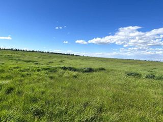 Photo 4: NE CRNR HWY 552 & HWY 799: Rural Foothills County Residential Land for sale : MLS®# A2137933
