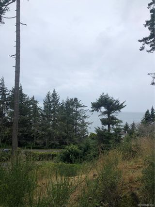 Photo 46: 8570 West Coast Rd in Sooke: Sk West Coast Rd House for sale : MLS®# 844394