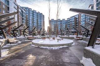Photo 28: 510 24 Varsity Estates Circle NW in Calgary: Varsity Apartment for sale : MLS®# A2028462