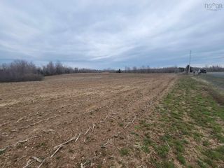 Photo 5: 60 acres Glen East Road in Central Caribou: 108-Rural Pictou County Vacant Land for sale (Northern Region)  : MLS®# 202407757