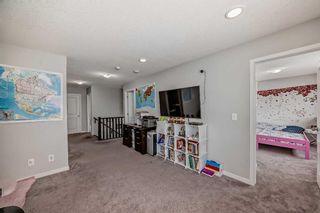 Photo 26: 93 Red Sky Road NE in Calgary: Redstone Detached for sale : MLS®# A2123684