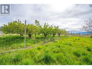 Photo 8: 9723 160TH Avenue in Osoyoos: House for sale : MLS®# 10311267