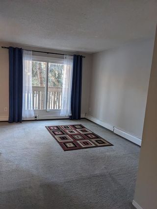 Main Photo: 813 11620 Elbow Drive SW in Calgary: Canyon Meadows Apartment for sale : MLS®# A2018247