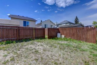 Photo 36: 175 Coverton Close NE in Calgary: Coventry Hills Detached for sale : MLS®# A1227151