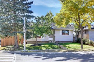 Photo 37: 107 Castlebrook Drive NE in Calgary: Castleridge Detached for sale : MLS®# A2003208