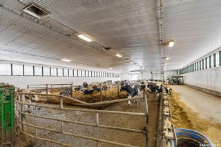 Photo 29: Wiebe Dairy in Corman Park: Farm for sale (Corman Park Rm No. 344)  : MLS®# SK916654