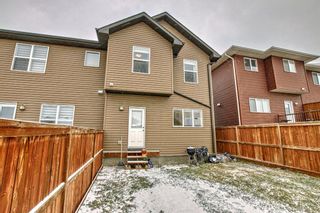 Photo 34: 867 Carrington Boulevard NW in Calgary: Carrington Semi Detached (Half Duplex) for sale : MLS®# A2089585